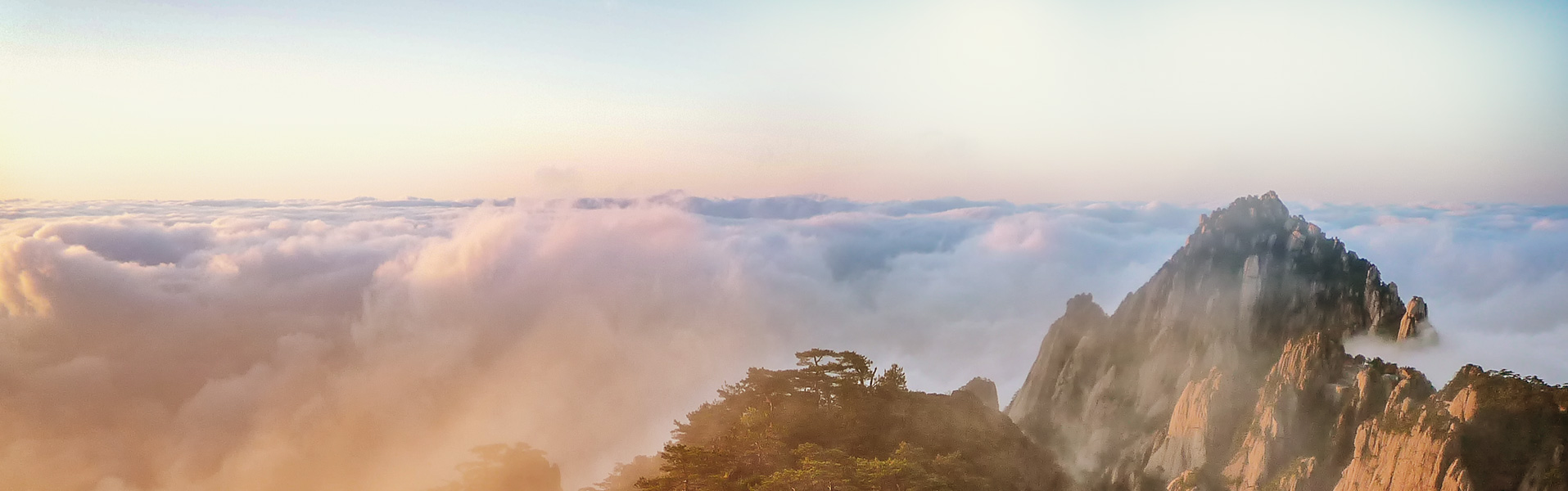 威尼斯9499登录入口(中国)有限公司官网