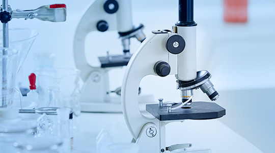 威尼斯9499登录入口(中国)有限公司官网